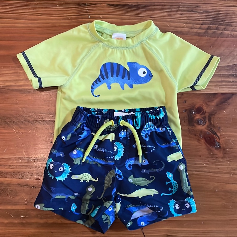 Gymboree Lizard Bathing suit